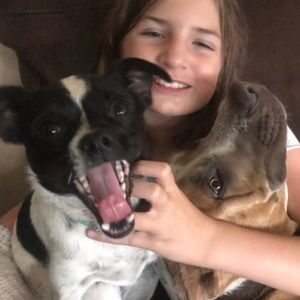 Meet your Posher, Niko